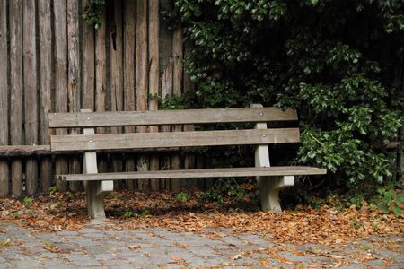A nice garden bench