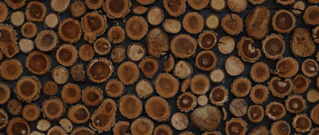 different round wooden disks as a background on a boardの写真素材