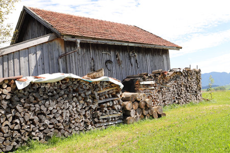 an old little hut in the alpsの写真素材