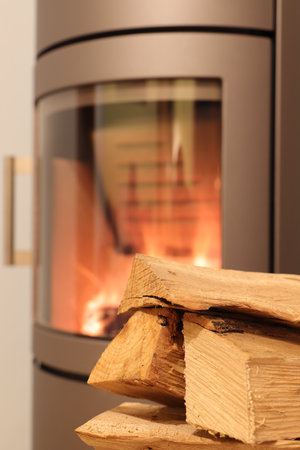 a new fireplace with woodの写真素材