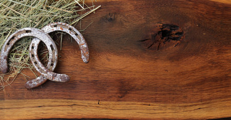 2 horseshoes with hay on a board as a backgroundの写真素材