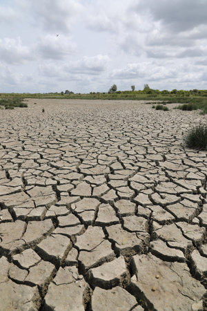 a dried-up river, cracked ground