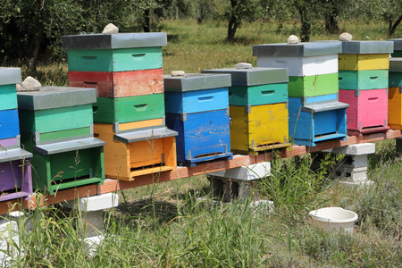 a colorful beehive in the forest