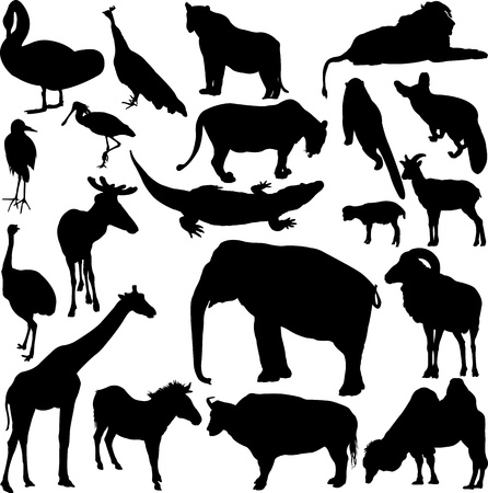  illustration in silhouette of various wild animalsのイラスト素材