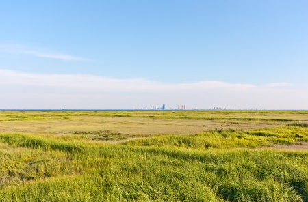The Atlantic City, New Jersey skyline. The foreground is a marsh with green grass (Forsythe Nature Reserve).の写真素材