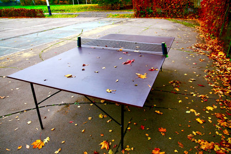 autumn landscape in the park