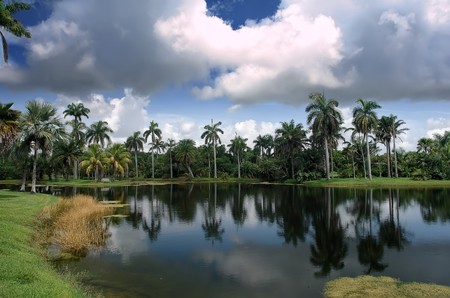 Fairchild tropical botanic garden, FL, USAの写真素材