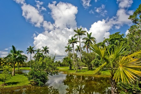 Fairchild tropical botanic garden, FL, USAの写真素材