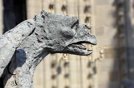 Gargoyle on Notre Dame Cathedral, Paris, Franceの写真素材