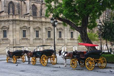 Horses and carts outside of Seville cathedral, Seville, Spainの写真素材