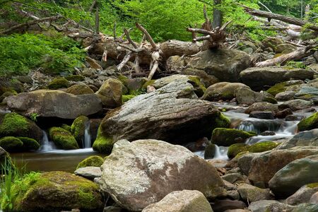 Wood river in Shenandoah national park, VA, USAの写真素材