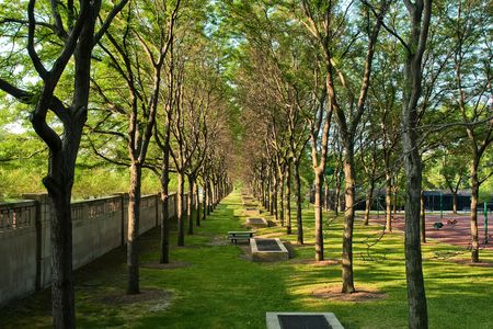 City park in Chicago, ILの写真素材