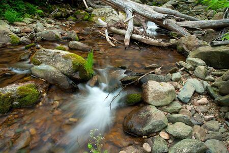 Wooden river in Shenandoah national park, VAの写真素材