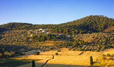 Green valley on Poros, Greeceの写真素材
