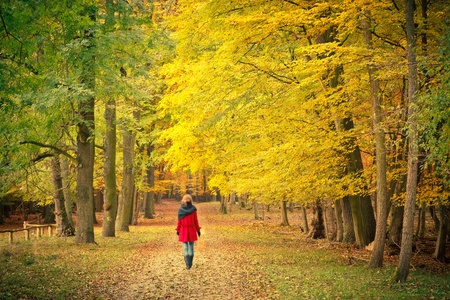 Walking in the autumn park Walking in the autumn park