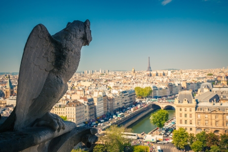 Gargoyle on Notre Dame Cathedralの写真素材