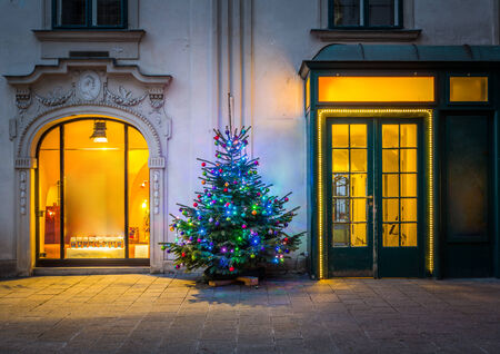 Christmas tree in Viennaの写真素材