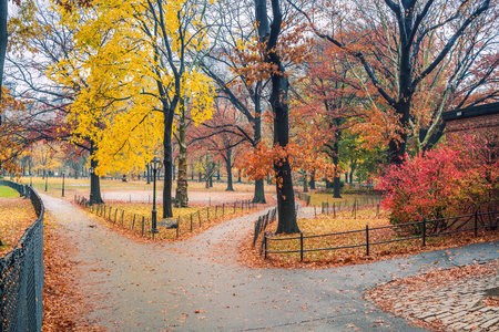 Central park at rainy day, New York City, USAの写真素材