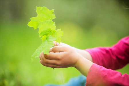 Child holding little green plant in hands. Ecology conceptの写真素材