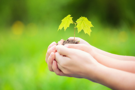 Adult and child holding little green plant in hands. Ecology conceptの写真素材