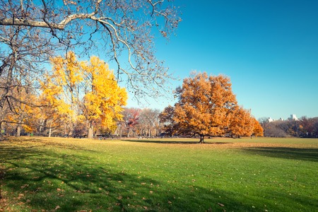 Central park in New York City at sunny autumn day, USAのeditorial素材