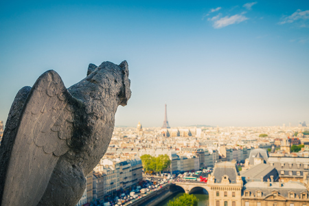 Gargoyle on Notre Dame Cathedral, Paris, Franceの写真素材