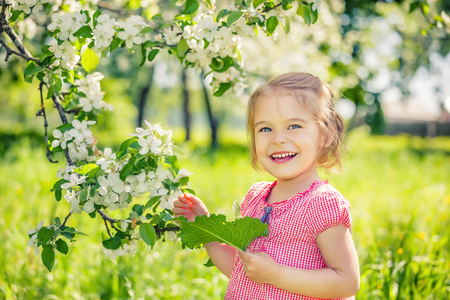Happy little girl playing in spring apple tree gardenの写真素材