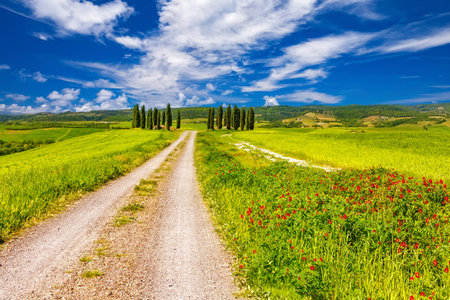 Tuscany landscape at spring sunny day, Italyの写真素材