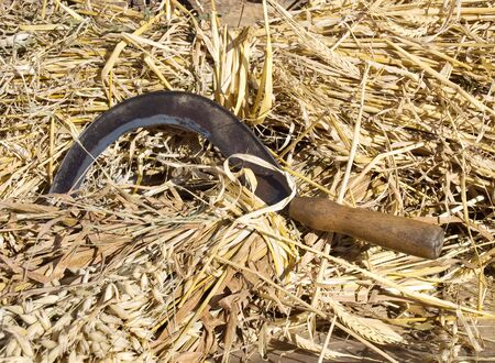 Sickle on the sun as a symbol of autumn harvest.の写真素材