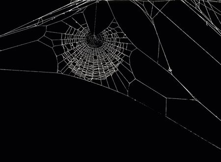 White spider's net isolated on a black background.の写真素材