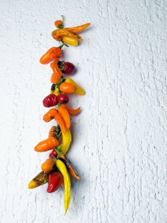 Different kinds of dried peppers hanging on the wall.