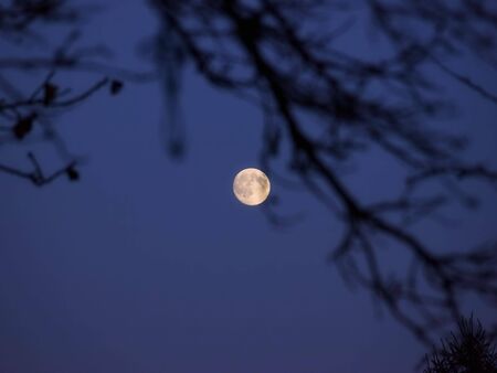 Night with full moon somewhere in nature.の写真素材