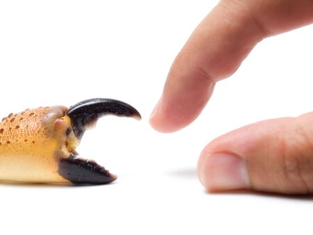 Conceptual image about two different beings on Earth and yet so similar, and their limbsの写真素材