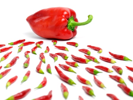 Metaphorical view of fertilization presented with pepper and chili.
