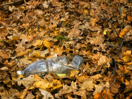 Plastic bottle discarded in forest...の写真素材