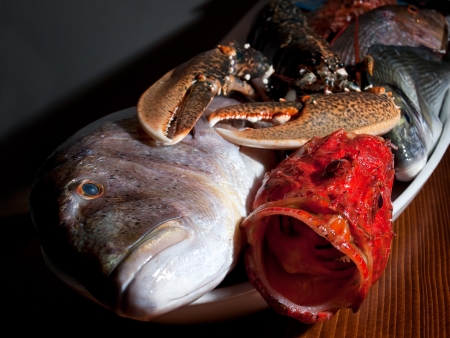 Main gastronomic species of fish and crab from Adriatic sea.