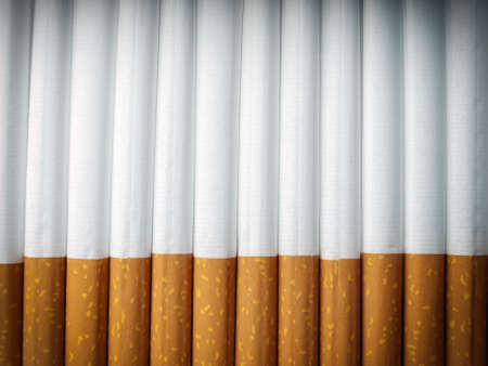 sorted cigarette tubes.の写真素材