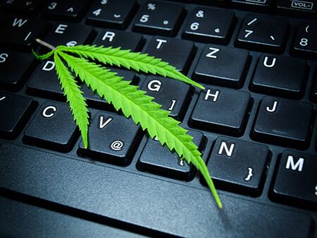 Hemp or cannabis on a computer keyboard.の写真素材