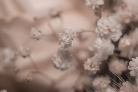 beautiful bouquet of pink roses in a basketの写真素材