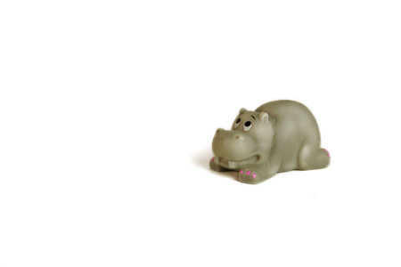 Children's toys. animals on a white background. A toy for babies and toddlers to joyfully learn mechanical skillsの写真素材