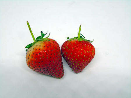 Two Strawberries Isolated on White Backgroundの写真素材