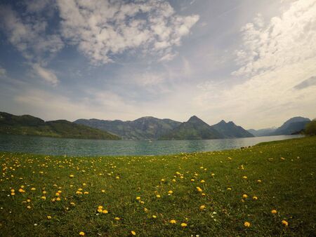 This stock photo is from the nature , Switzerland during spring!の写真素材