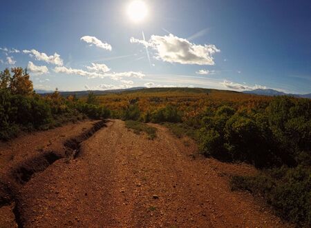This stock photo is from a nature reserve in Greece during autumn!の写真素材