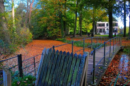 This stock photo is from a nature reserve forest in Hilversum, Netherlands during autumn time!の写真素材