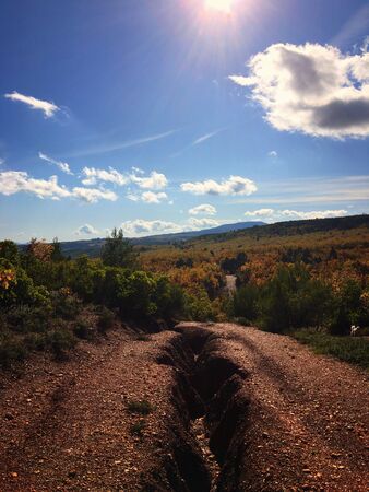 This stock photo is from a nature reserve in Greece during autumn!の写真素材