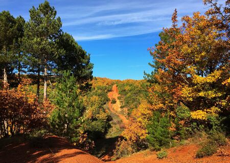 This stock photo is from a nature reserve in Greece during autumn!の写真素材