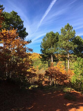 This stock photo is from a nature reserve in Greece during autumn!の写真素材