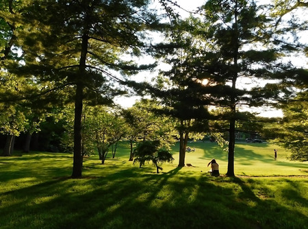 Lights And Shadows In The Park, Girl Sitting On the Grassの写真素材