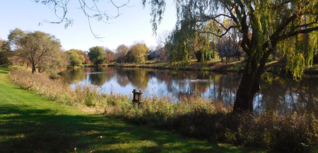 View Of Lake Surrounded By Trees On A Sunny Dayの写真素材