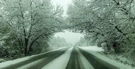 Drive In A Blizzard On The Forest Roadの写真素材